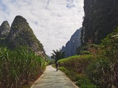 -明仕田园