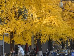 -四川大学(华西校区)