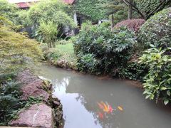 -中国茶叶博物馆(双峰馆区)