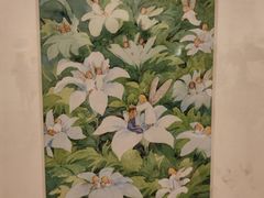 -【朵云轩艺术中心】博洛尼亚插画展·中国巡展·上海站