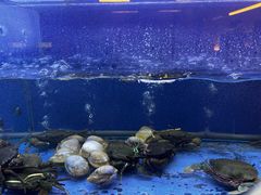 -白仁仔· 活烤海鲜 宵夜(豫园店)