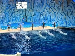 -珠海长隆海洋王国