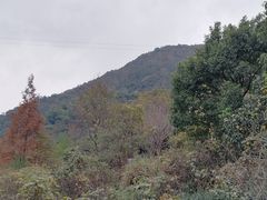 -东海大峡谷