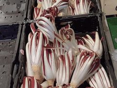 -岳各庄批发市场(西四环中路店)