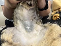 -宠颐生贝利健动物医院(谢家湾分院)