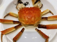 -新光酒家·河豚·海鲜·蟹料理(浦东店)