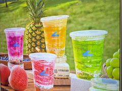 -白色日记·手作酸奶(麦凯乐店)