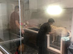 -宠物家(双井店)