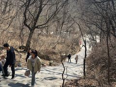 -吉林市朱雀山国家森林公园