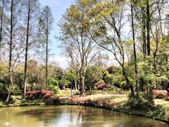 -上海野生动物园