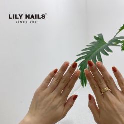 -LILY NAILS美甲美睫