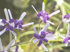 -北京植物园-展览温室