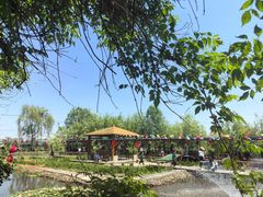 -同銮特种养殖场·龙虾垂钓