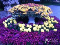 android_upload_pic-迎泽公园