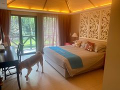 -太阳岛度假酒店