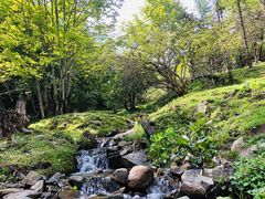 -硗碛藏寨·神木垒景区