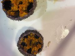 -鱼市酒店(威海水产批发市场店)