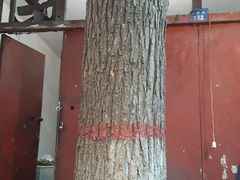 -老李家杂肝汤(回民街店)
