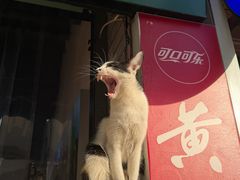 -寻宝记绍兴菜(鲁迅路店)