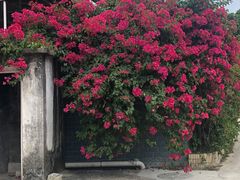 -洞背山庄(洞背院区式管理小区店)