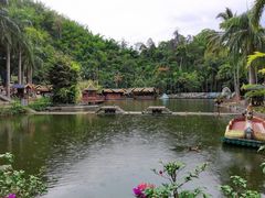 -野象谷景区