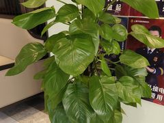 -丰收日(五角场店)