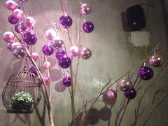 iphone_upload_pic-蝴蝶汇音乐酒馆(罗湖店)