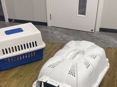 -瑞派宠物医院东莞中心医院·24H转诊·异宠(新河北路院)
