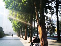 -四川大学(华西校区)