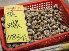 -顺德了能馆(虎门店)