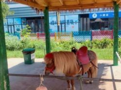 -萌宠亲子动物乐园(槐房万达店)