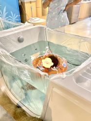 -广州安和泰医学月子会所