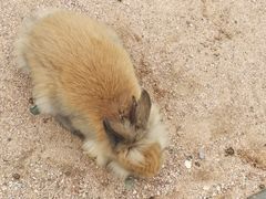 -鄂尔多斯野生动物园