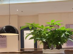 -莞府家宴·东莞菜(市民服务中心店)