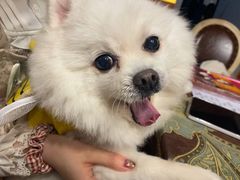 -伽利略剧本探案馆(国贸店)