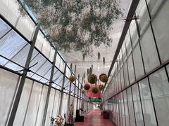 -上海鲜花港