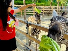 -水上乐园·欢乐世界