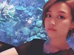 -迪拜帆船酒店海底餐厅