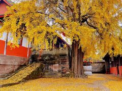 -金堂县云顶石城风景区