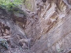 -北京上方山国家森林公园