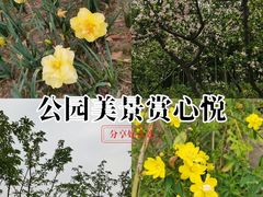 -新江湾城公园