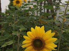 -广州市紫泥堂文化创意园景区