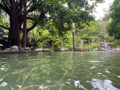-昆明柏联SPA温泉