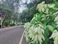 -东莞植物园