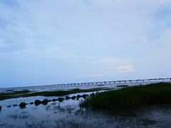 -南汇新城海滩