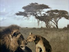 -国家自然博物馆