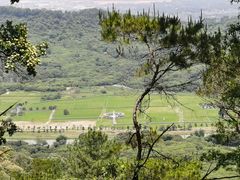 -风云岭森林公园
