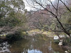 -峙山公园