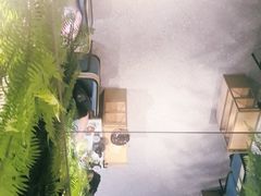 -三个椰子·现砍椰子鸡(金源CBD店)