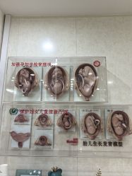 点击看大图 -五洲妇儿医院